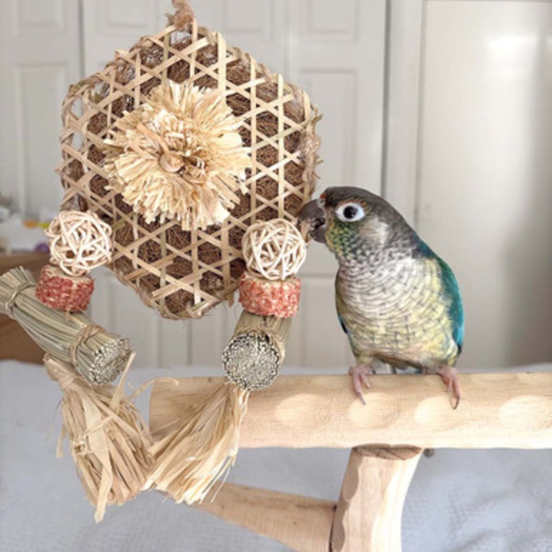 Bamboo Playwall Naturals Preen and Forage Parrot Toy