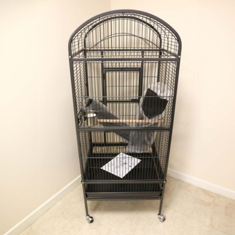 ***Collection Only***Prevue Dome Top Medium Parrot Cage Black
