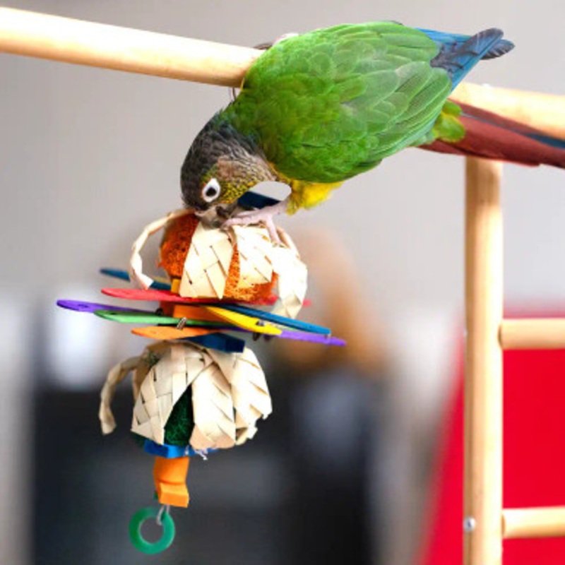 Coloured Bamboo Sticks Shredding Stack Parrot Toy