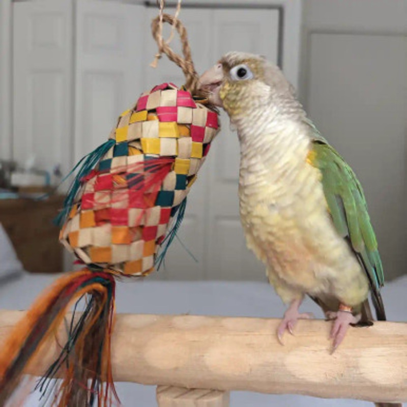 Foraging Pinata Small Natural Woven Palm Leaf Parrot Toy