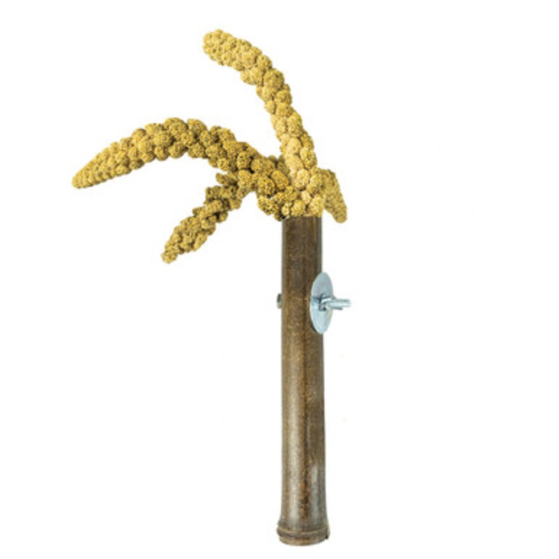 Grass and Millet Treat Holder for Parrot Cages