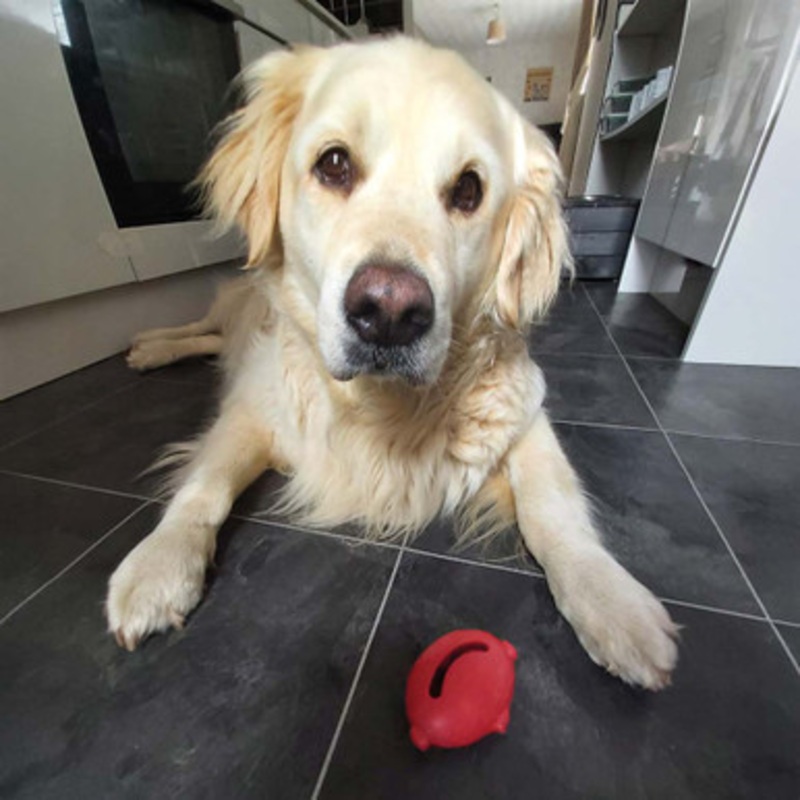 Hero Puppy Natural Rubber Hide-a-Treat Dog Toy – Smiley Face