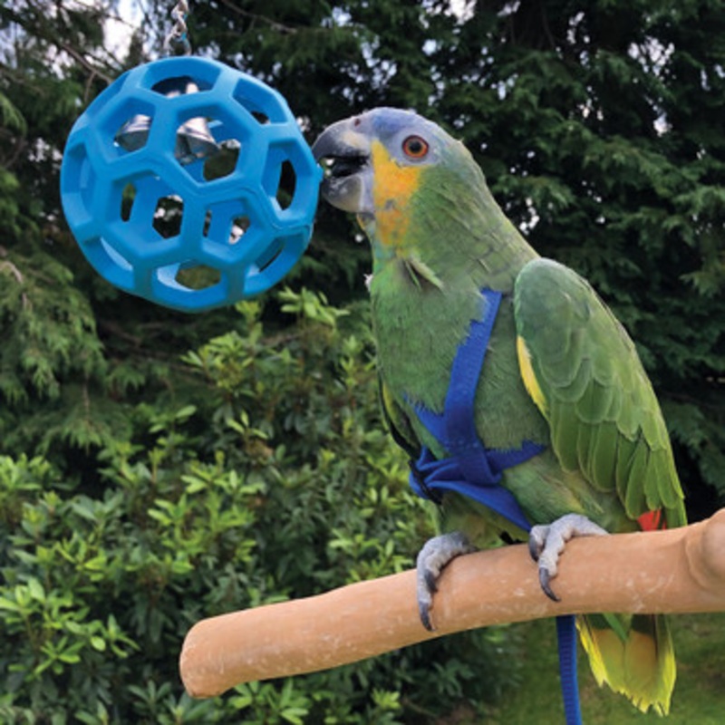 Hol-ee Roller – Foraging Toy for Parrots