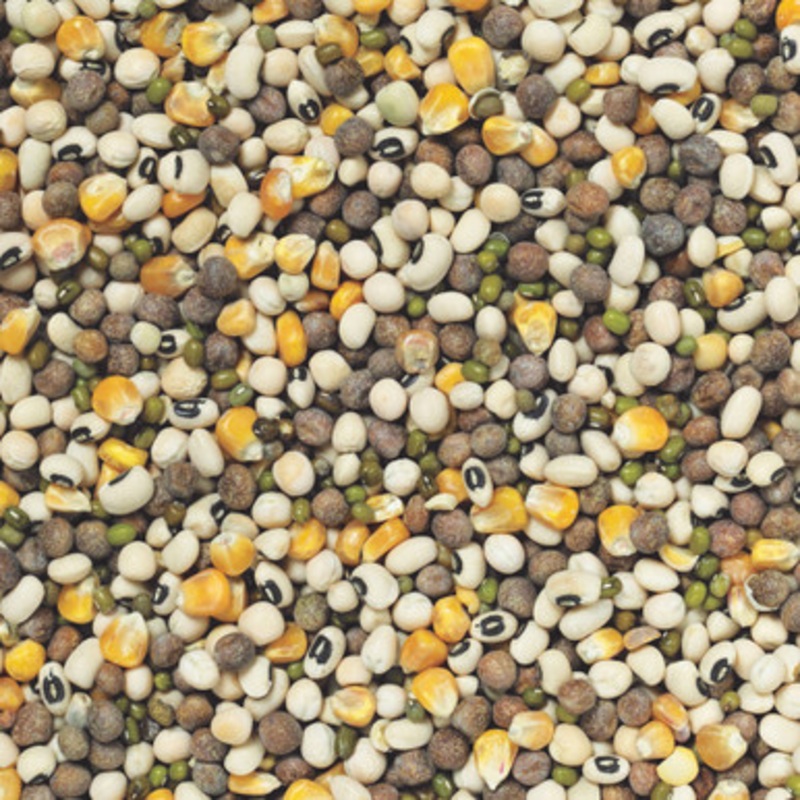 Johnston and Jeff Mixed Pulses Parrot Food 2kg