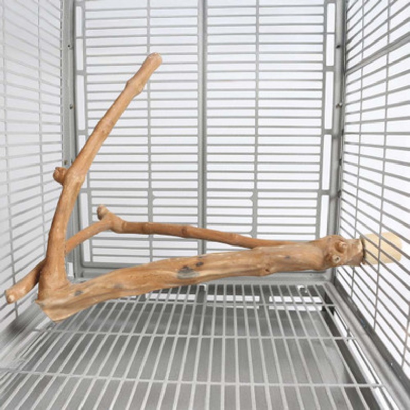 Medium Java Multibranch Natural Parrot Perch