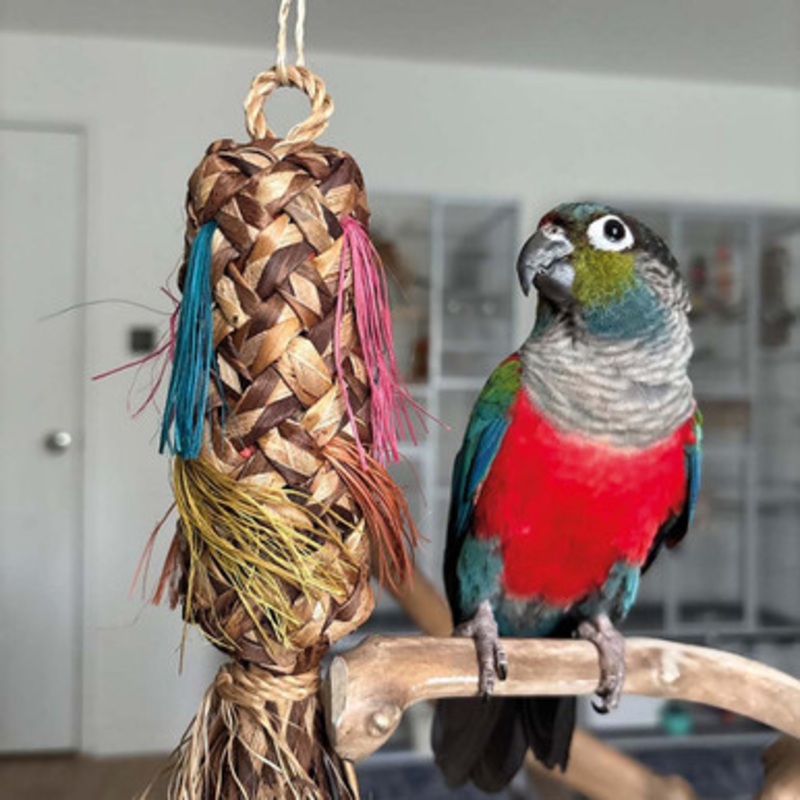 Natural Pinata Square Palm Leaf Parrot Toy Large