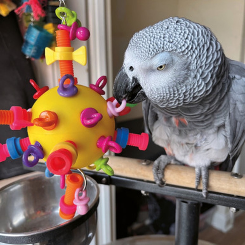 Nuts, Bolts & Binkies Puzzle Parrot Toy – Medium