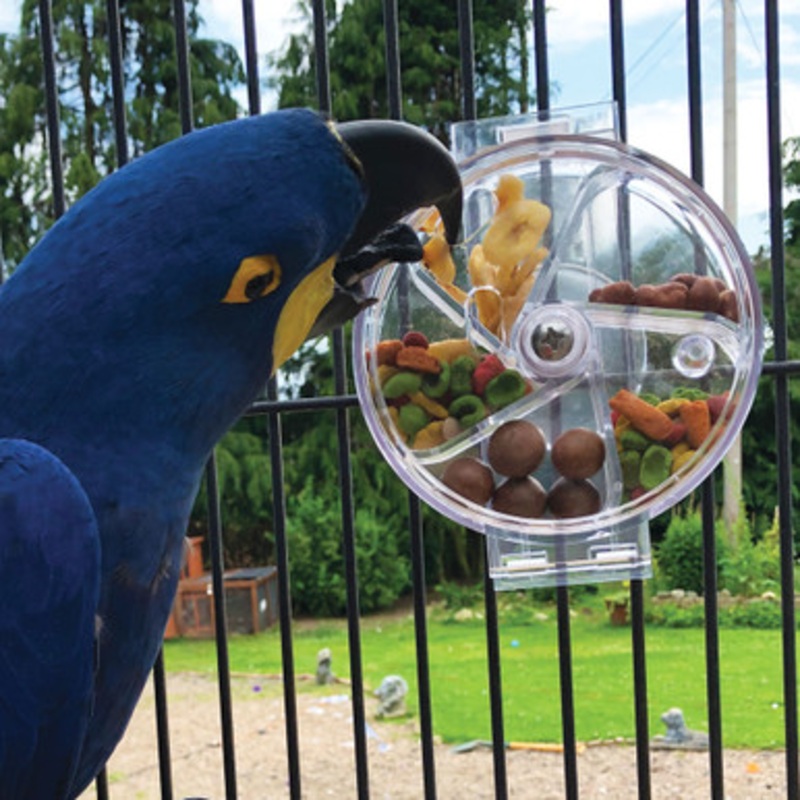 Original Foraging Wheel – Interactive Creative Parrot Toy