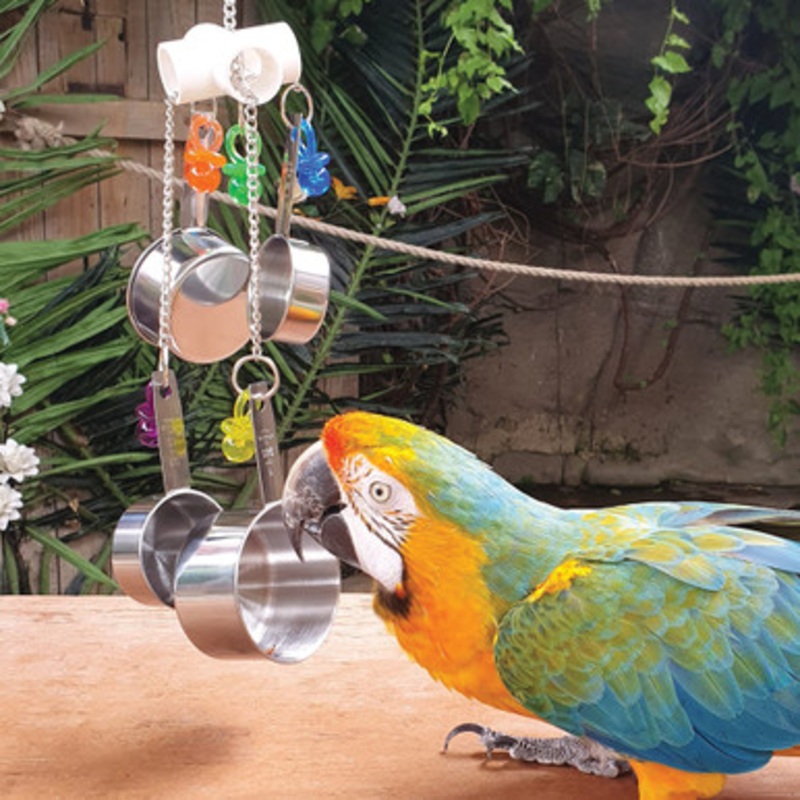 Pan Clacker Parrot Toy