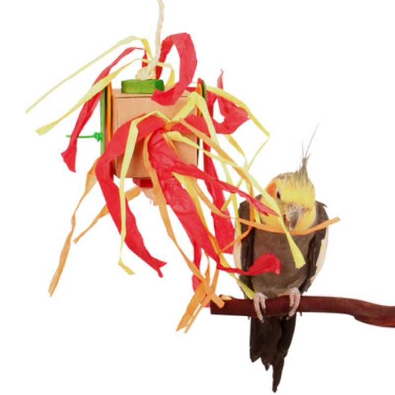 Shred & Spin Box – Chewable Foraging Parrot Toy