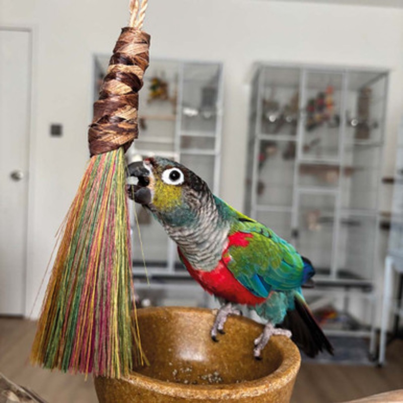 Tickle Wiggle Preener Rainbow Parrot Toy Medium