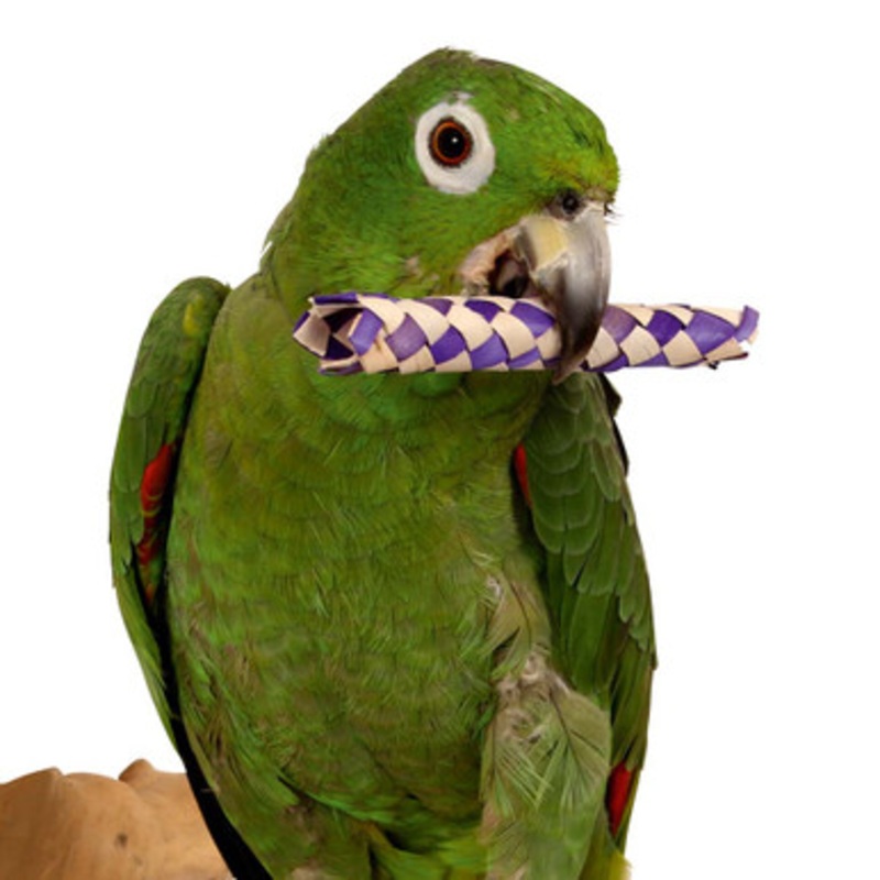 Woven Paper Sticks – Foot Toys for Parrots – Pack of 12