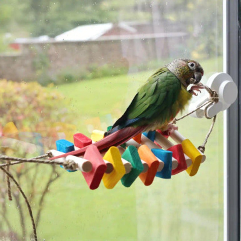 Acrobat Ladder Activity Parrot Toy Small