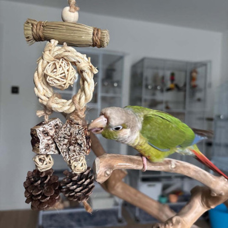 Dangler Delight Naturals Shred and Forage Parrot Toy