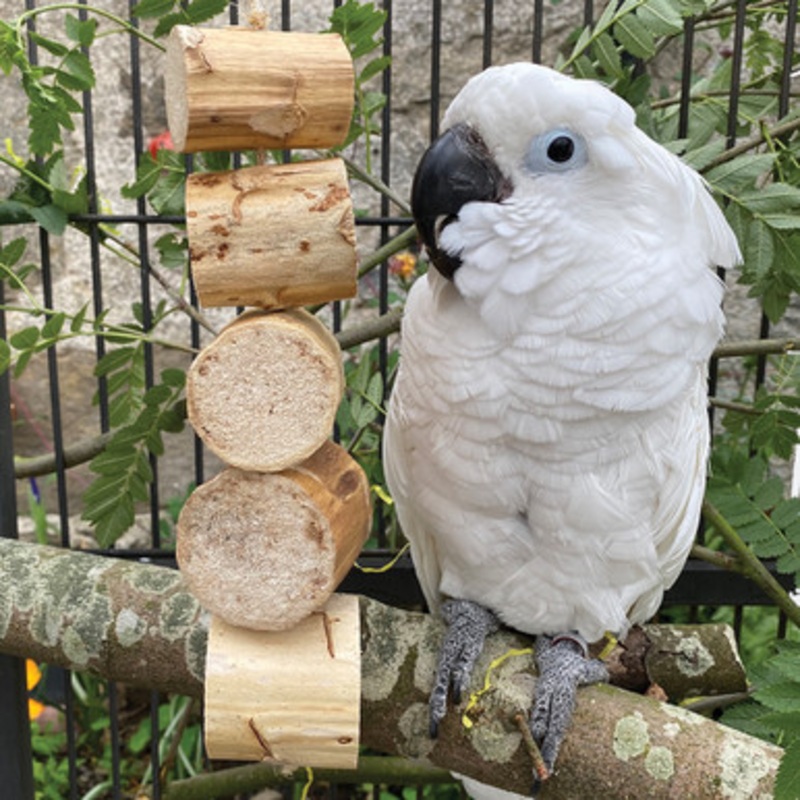 Fiesta Bird Kabob Natural Shreddable Parrot Toy