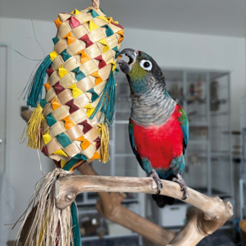Foraging Pinata Medium Natural Woven Palm Leaf Parrot Toy