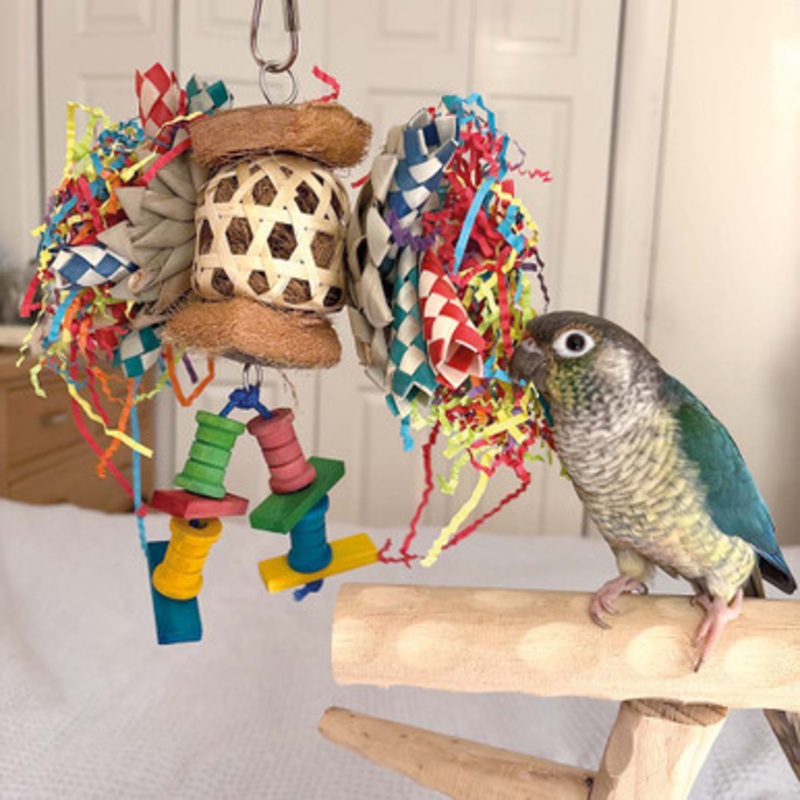 Frizzy Lizzy Naturals Forage and Chew Parrot Toy