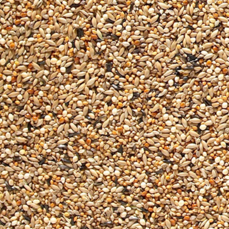 Johnston and Jeff ABZ Finch Seed 20Kg