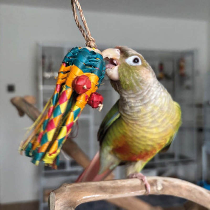 Kraken Natural Woven Palm Leaf Parrot Toy Small