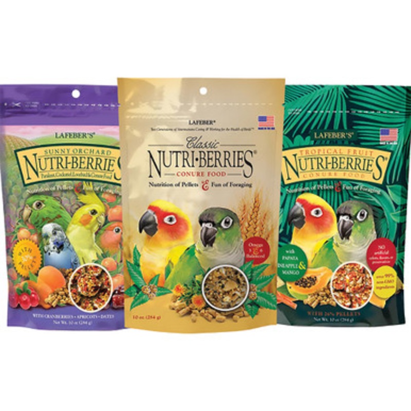 Lafeber Small Parrot NutriBerries Complete Food – Pack of 3