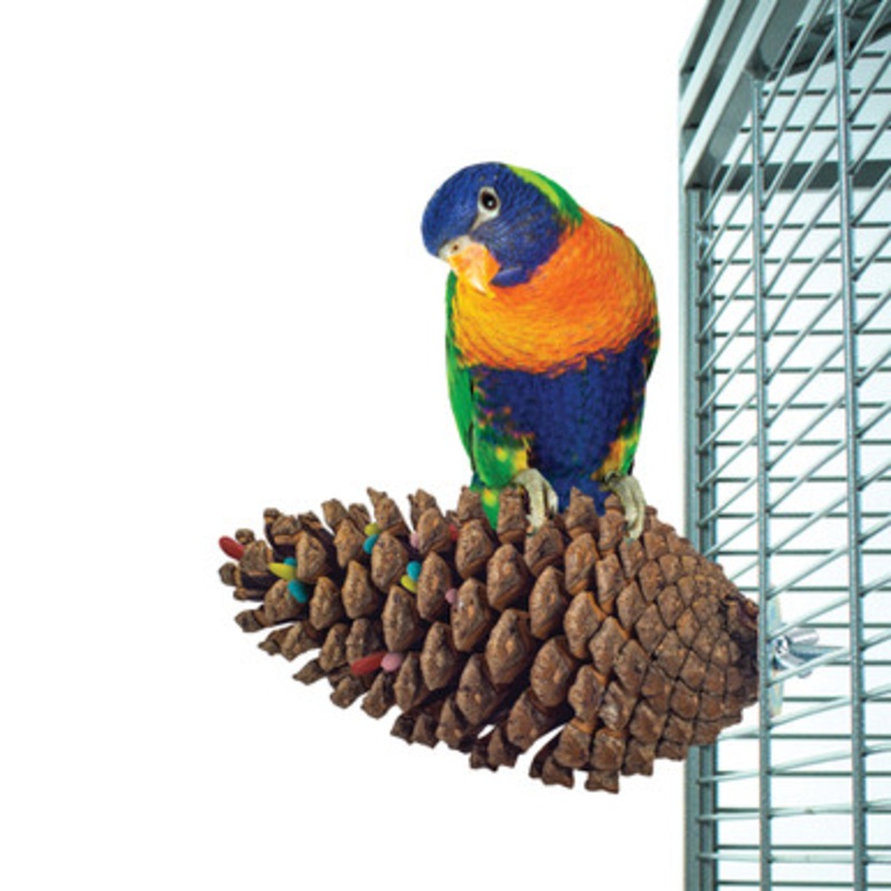 Pine Cone Perch and Party Fun Foraging Parrot Perch