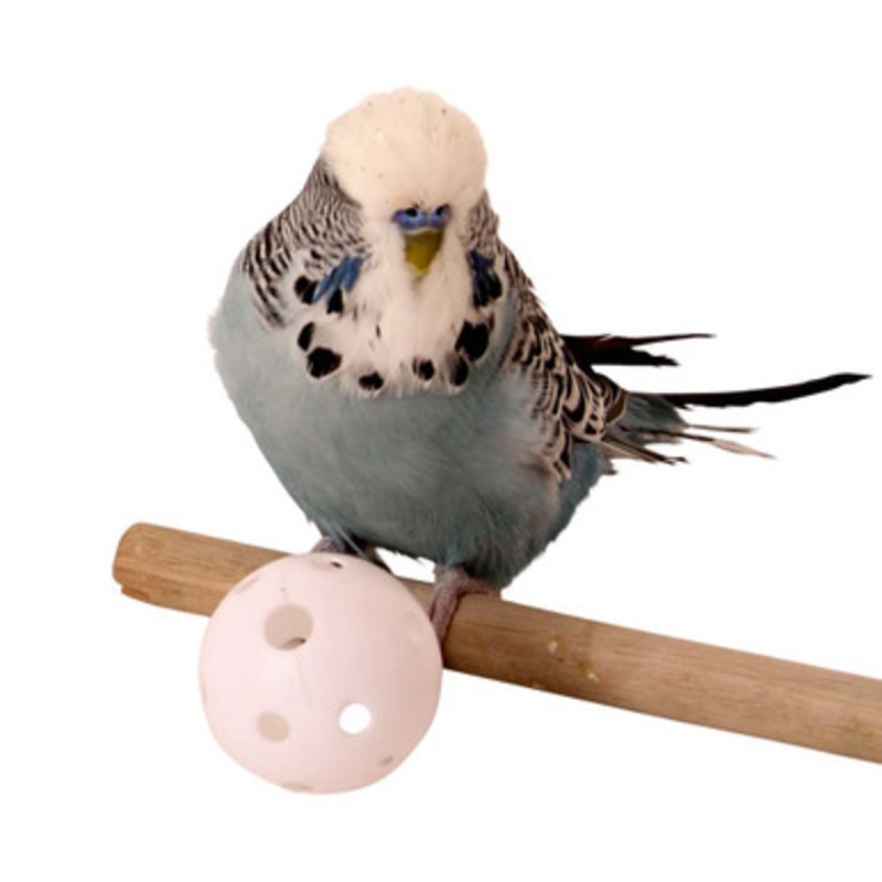 Plastic Wiffle Balls – Parrot Toy Making Parts – Pack of 6