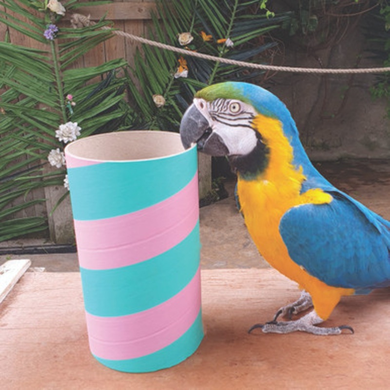 Polly Pipe Parrot Hideaway Chewable Tube – Large