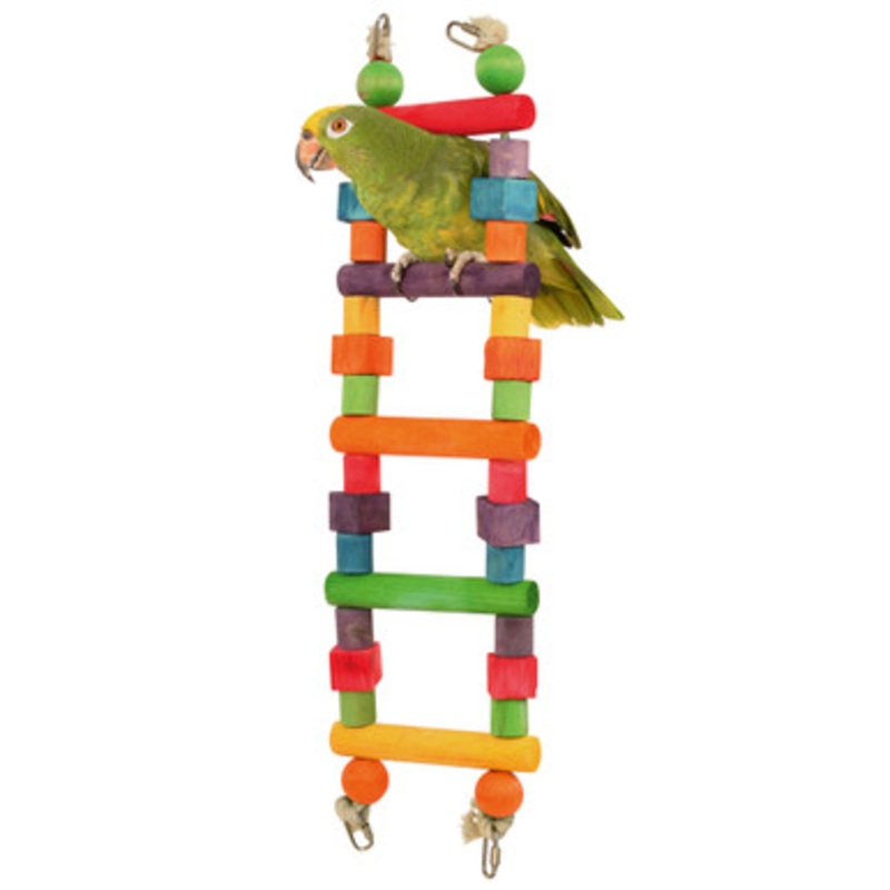 Rainbow Wooden Parrot Ladder – Small