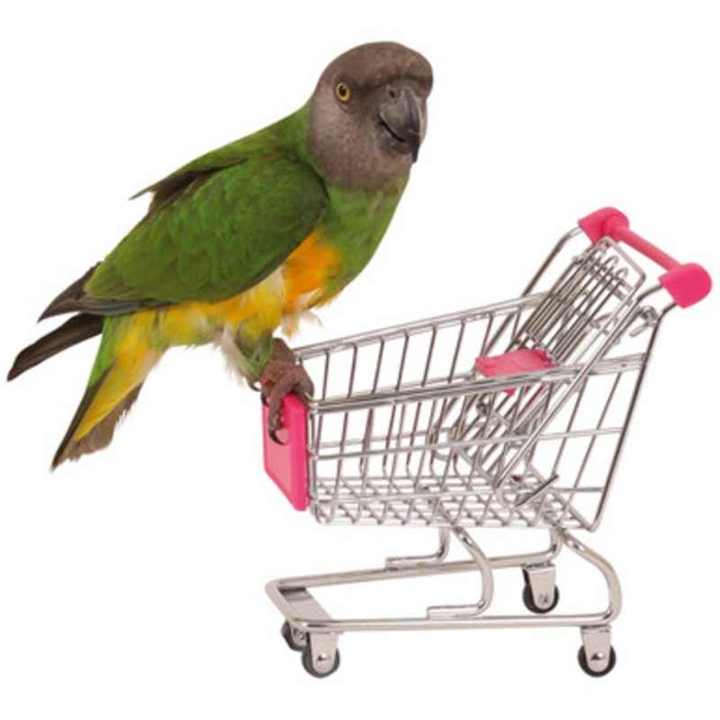 Shopping Trolley Parrot Toy