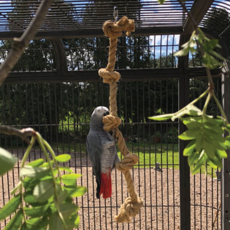 Sisal Tarzan Rope – Parrot Toy – Medium