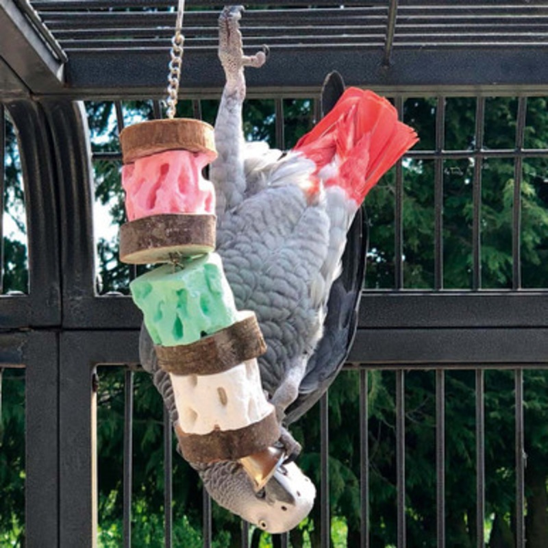 Triple Cactus Slice Mineral Chew Parrot Toy