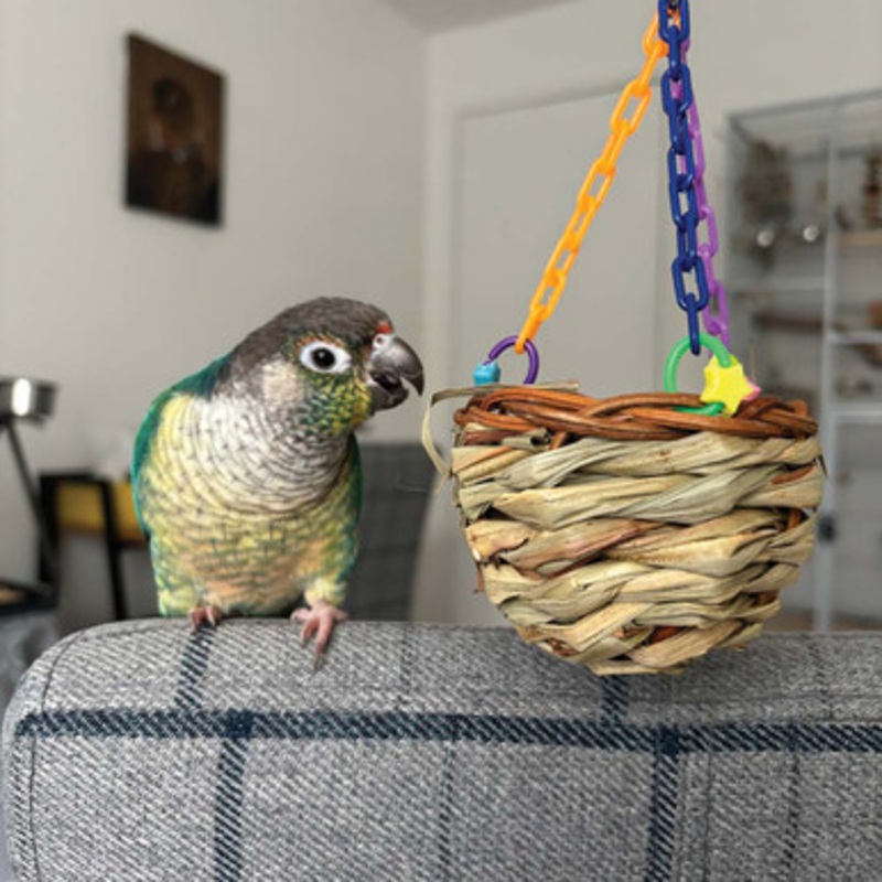 Woven Foraging Treat Basket Small Parrot Toy