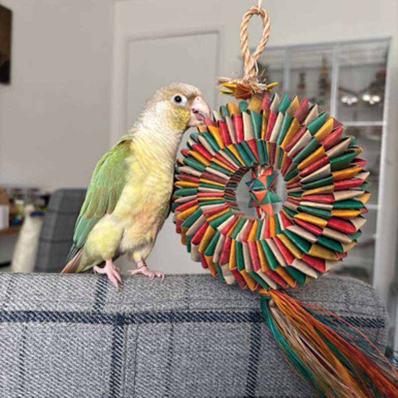 Bird Tire With Star Medium Natural Woven Palm Leaf Parrot Toy