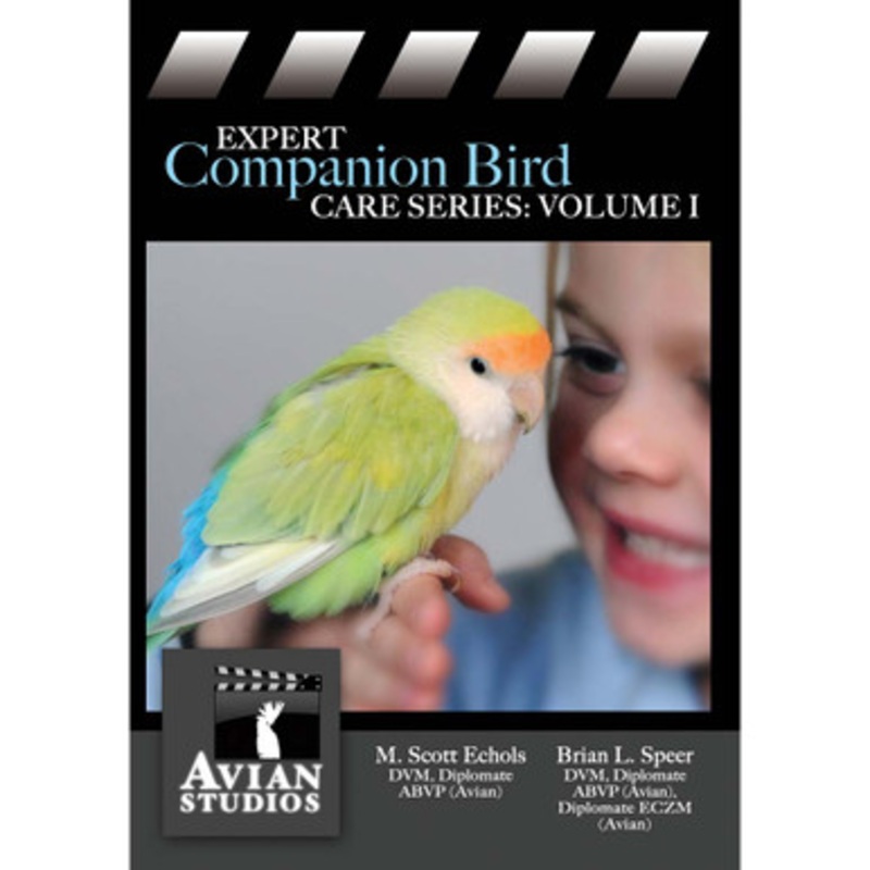 Expert Parrot Care Series DVD – Volume I