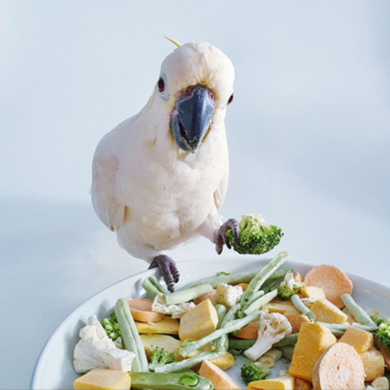Farm House Freeze Dried Veggie Mix for Parrots 50g