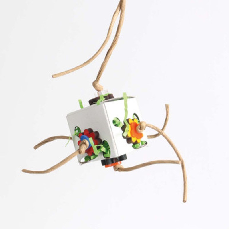 Foraging Fun Box Parrot Toy – Small