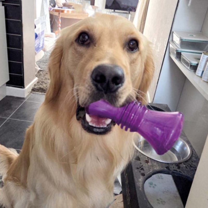 Hero Soft Rubber Treat Drum Dog Toy