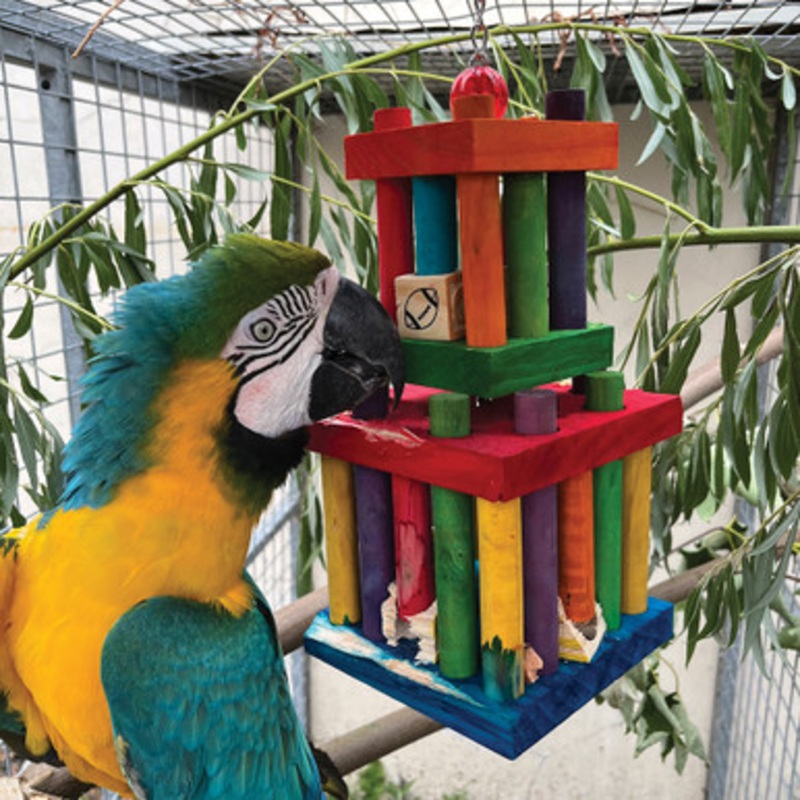 Jail Break Chewable Foraging Parrot Toy