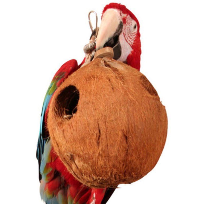 Java Coco Full Moon Natural Parrot Toy