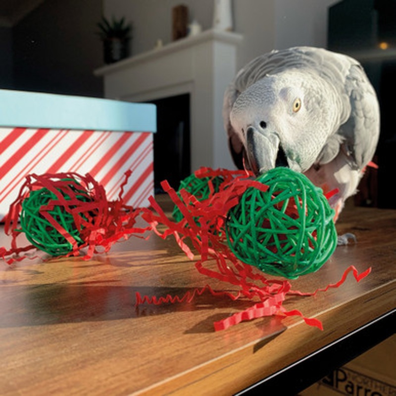Jolly Christmas Stuffer Balls Parrot Toy – Pack of 3