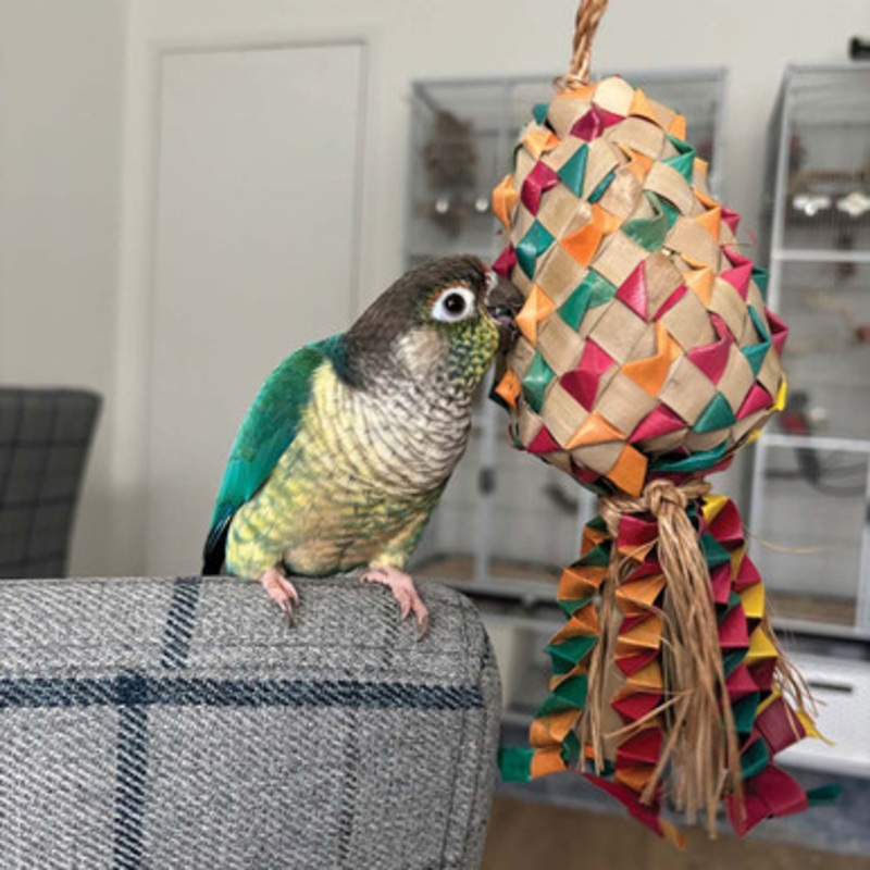 Kiss Pinata Medium Natural Woven Palm Leaf Parrot Toy
