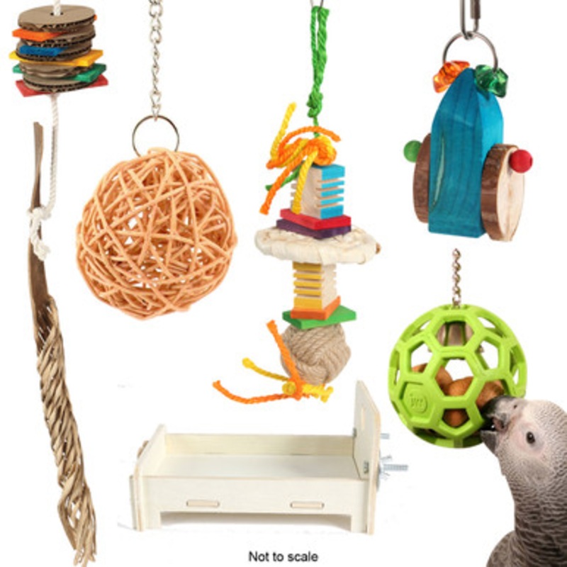 Northern Parrots African Grey Parrot Foraging Toy Bundle