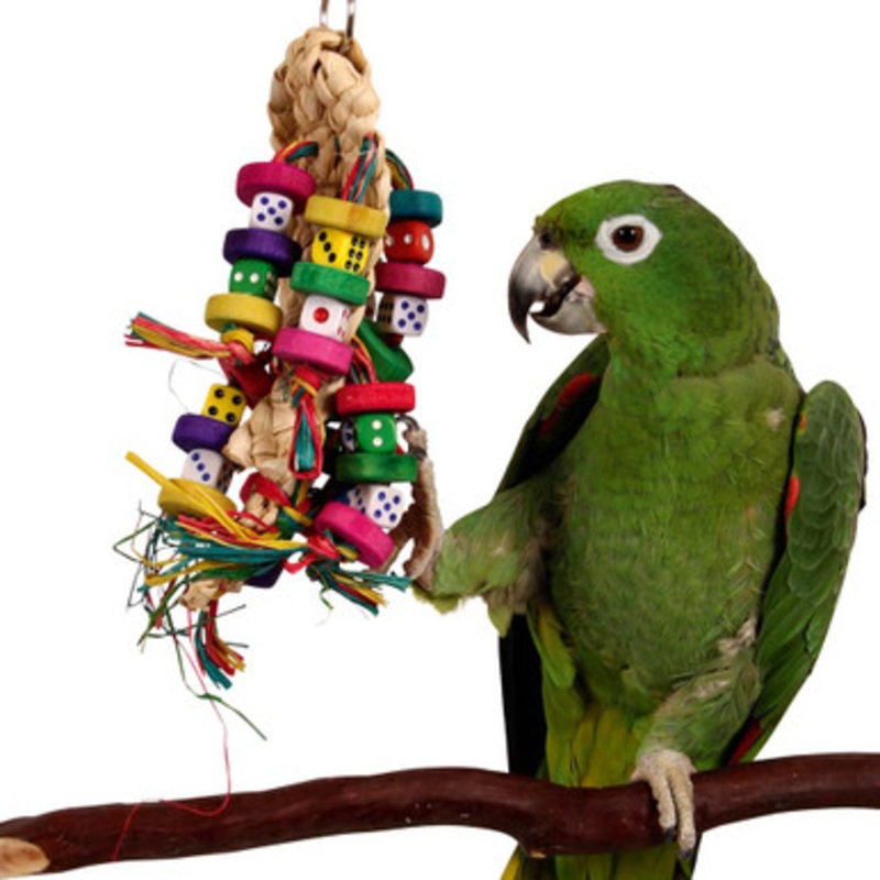 Odds On – Beak Pleaser Parrot Toy