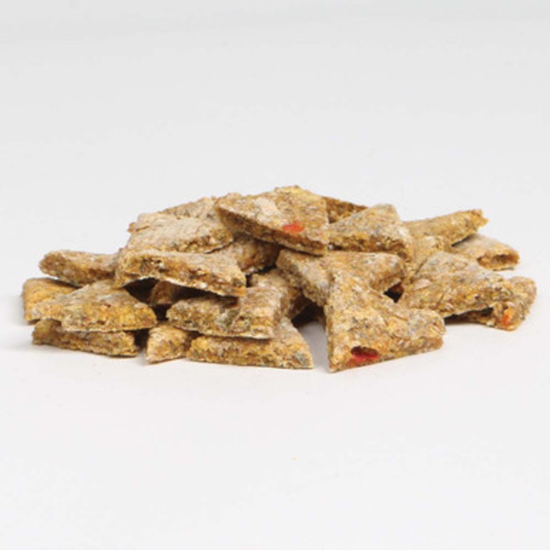 Parrot Cafe Palm Oil Pizza Slice Treats for Parrots – 100g