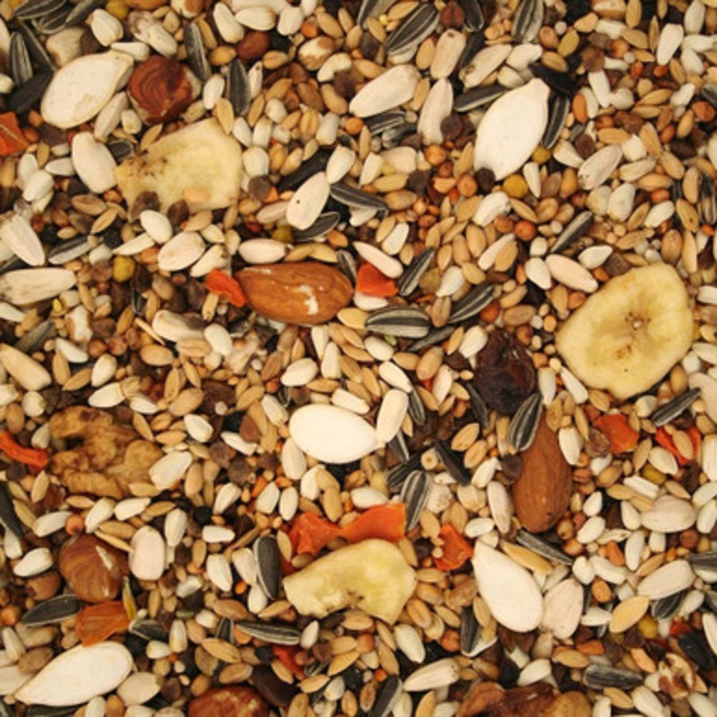 Parrot Premium Professional Parrot Food 2.5Kg High Quality Seed Mix
