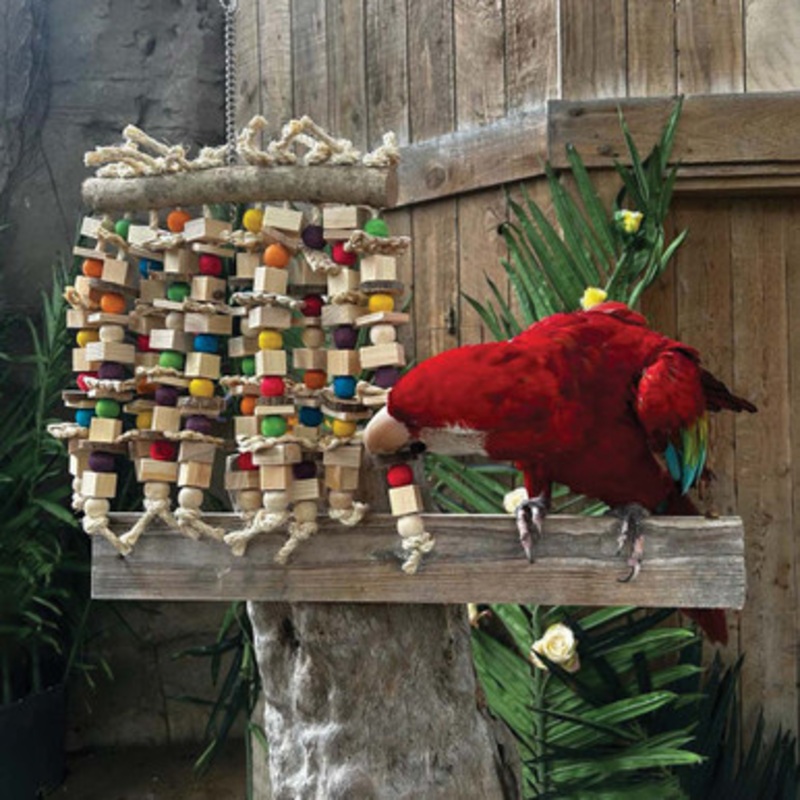 Peek and Play Wood & Rope Parrot Toy