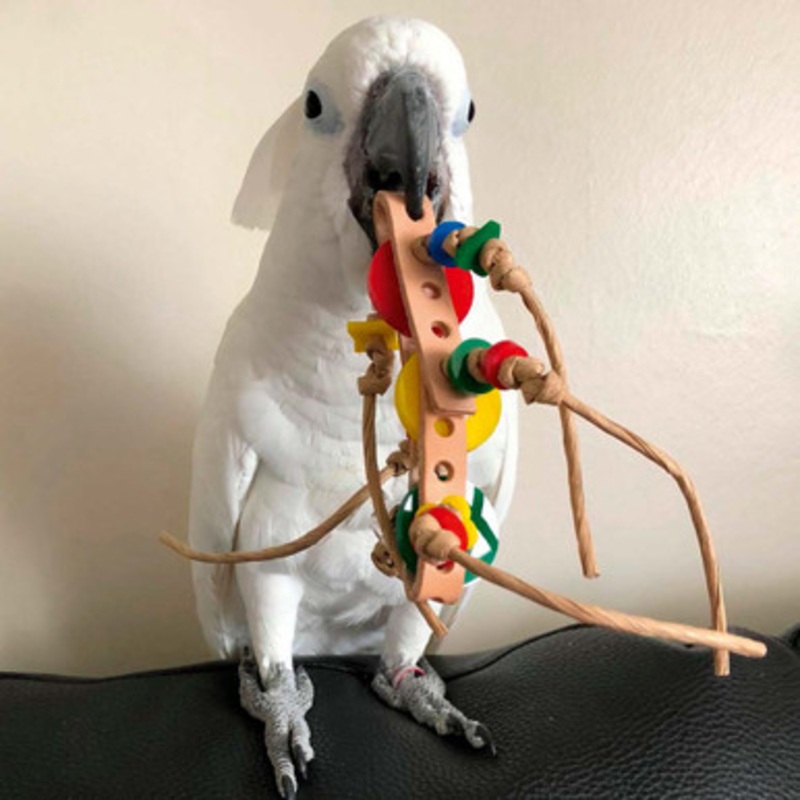 Rollicking Foot Toy for Parrots
