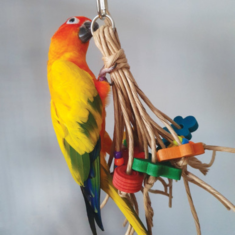 Shredding Legs Paper Rope Parrot Toy – Small