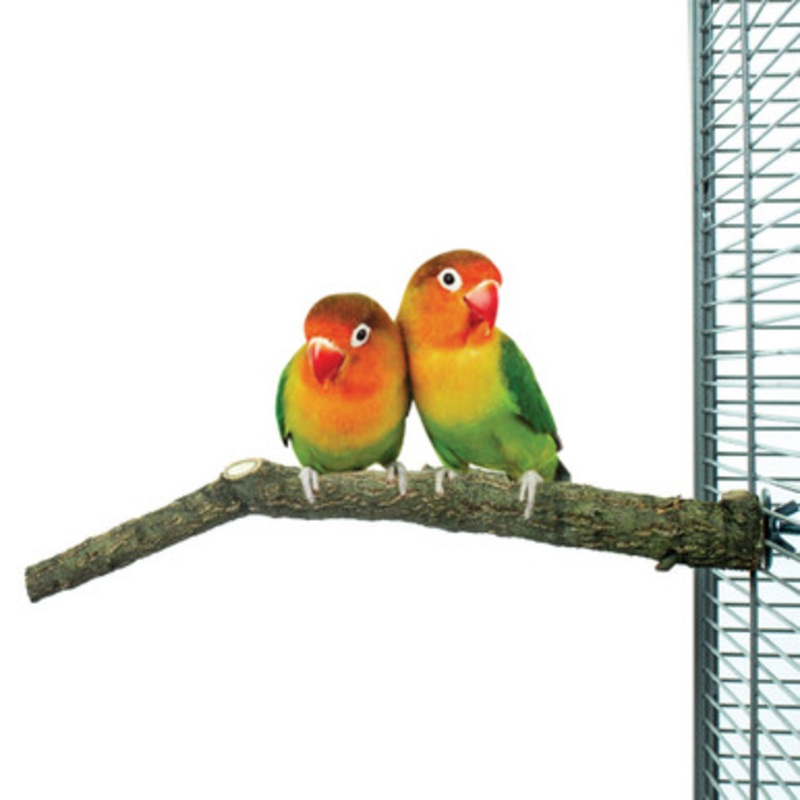 Back To Nature Cork Parrot Perch Small
