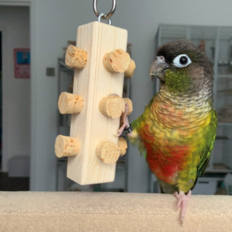Cork Master Parrot Toy Small